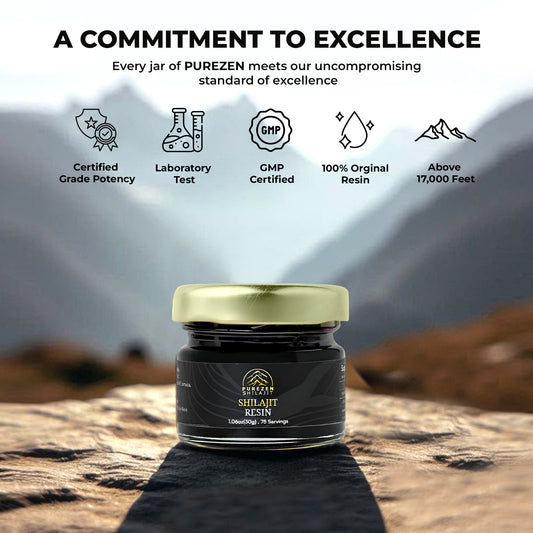 Pure Himalayan Shilajit Resin | 75% Fulvic Acid, 85+ Minerals | 30g