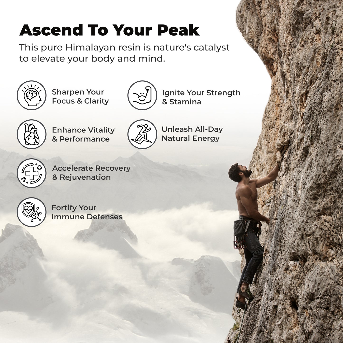 Pure Himalayan Shilajit Resin | 75% Fulvic Acid, 85+ Minerals – Natural Energy & Stamina Boost, 30g